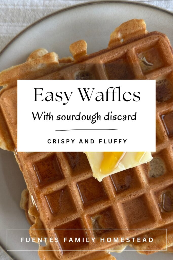 plate of waffles with a Pinterest title over it