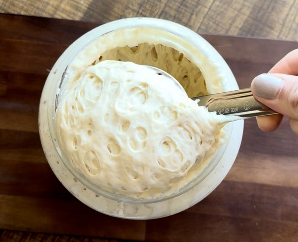 active sourdough starter being scooped from a jar with a measuring cup 