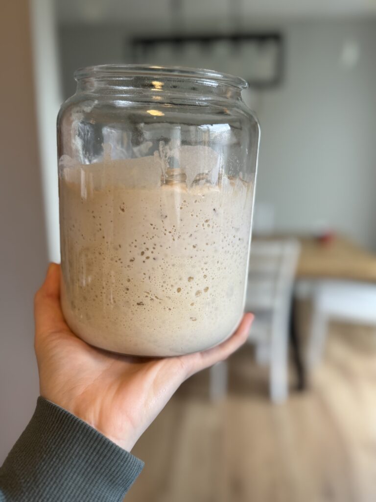 a healthy sourdough starter in a jar, in someone's hand. Bubbly, active and healthy.