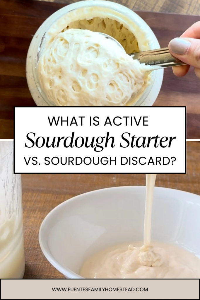 a photo collage of two photos with a pinterest title about active sourdough starter vs sourdough discard