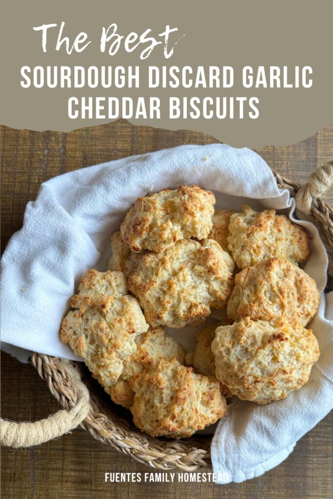 a basket of cheddar biscuits with a white linen lining the basket. 