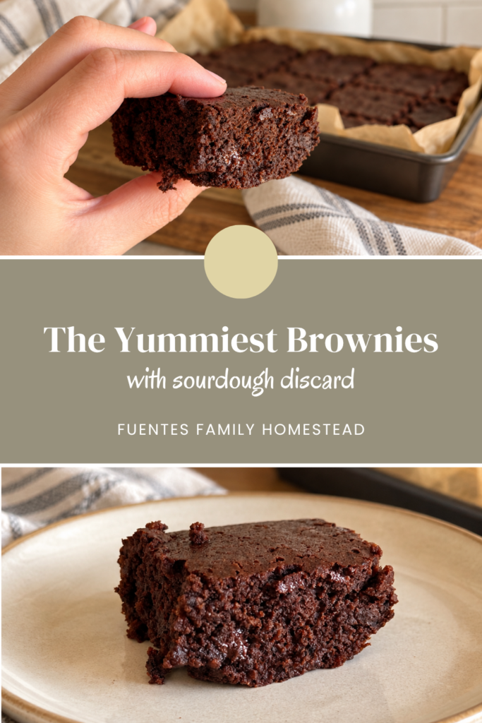 pinterest photo for sourdough brownies with a title