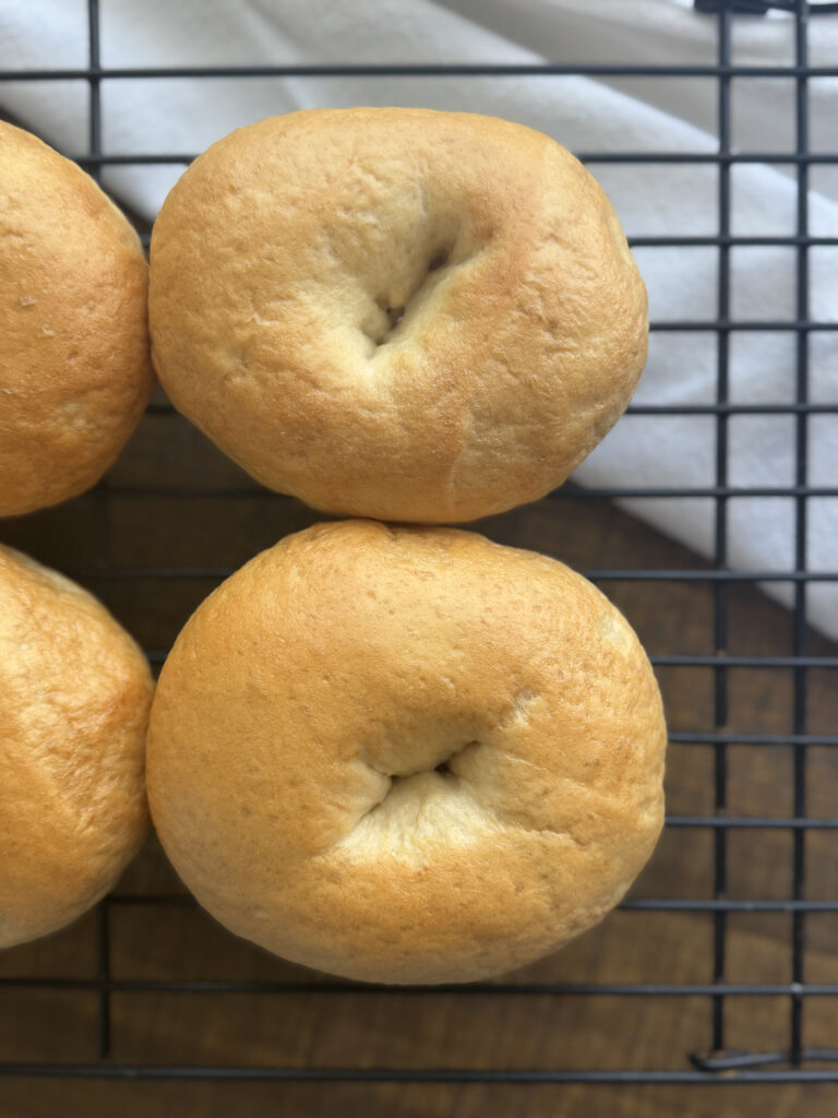 sourdough bagels