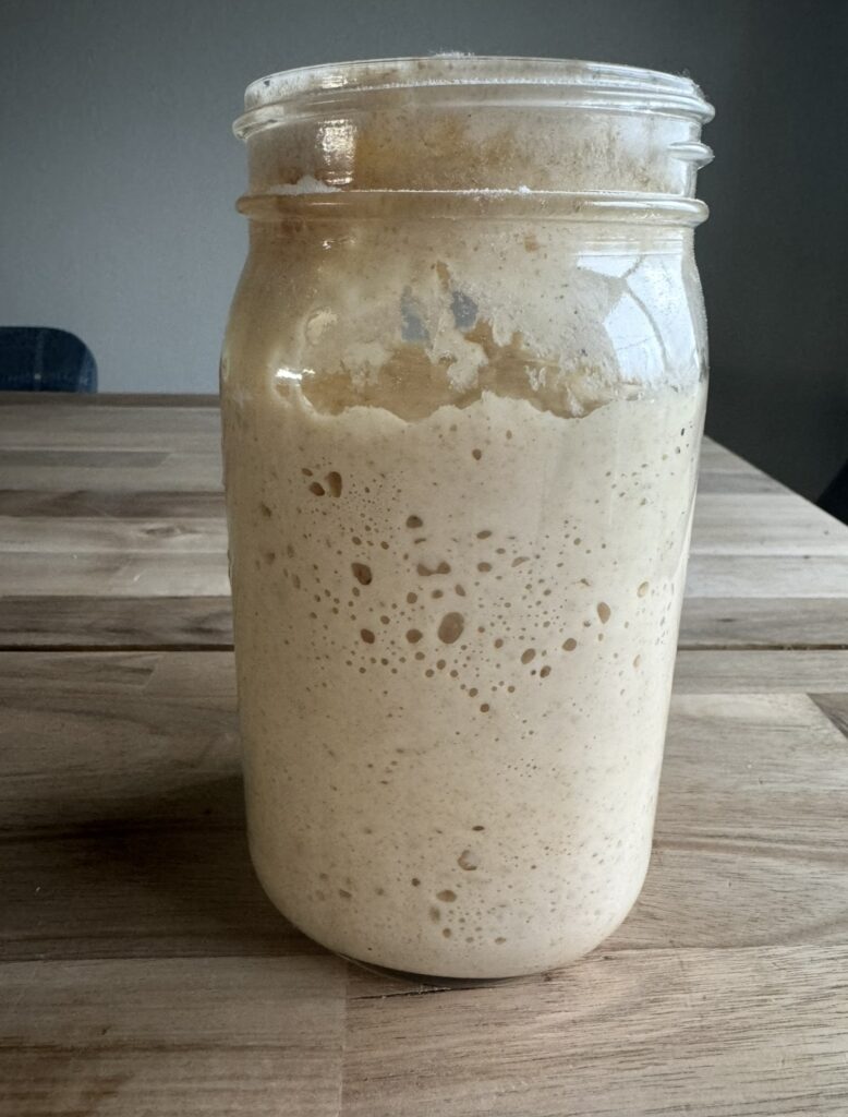 a jar of active, bubbly, sourdough starter at the end of the first week of being made. 